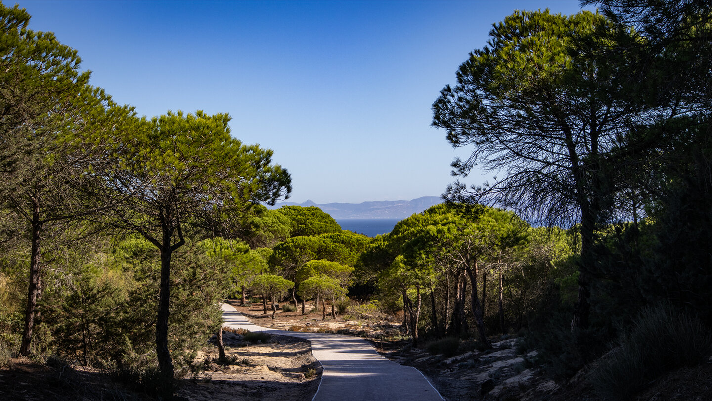 via del Estrecho zwischen Bolonia und Punta Paloma