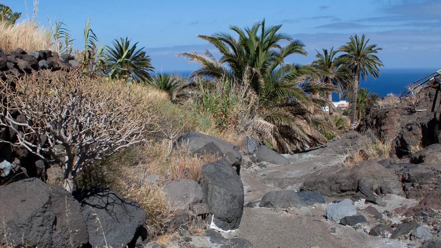 Wanderweg von Alojera zur Playa del Trigo auf Gomera