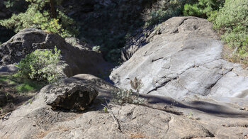 Trockenbachlauf im Barranco de Jieque