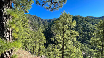 Ausblick vom Bergrücken Lomo del Pino