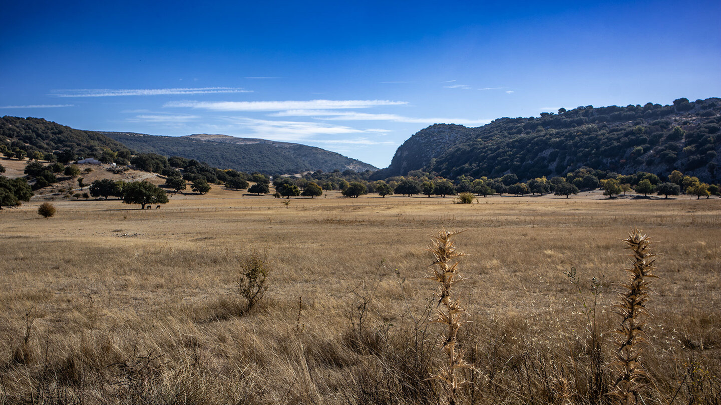 Hochebene La Nava Polje