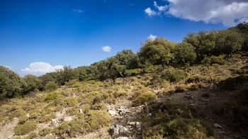urwüchsige Vegetation der Sierras Subbéticas