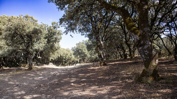 Wanderweg Richtung Zuheros