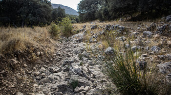 trockener Bachlauf des Río Bailón