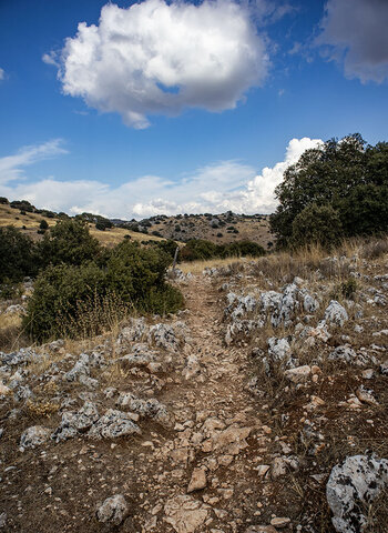 Wanderweg im Tal des Río Bailón
