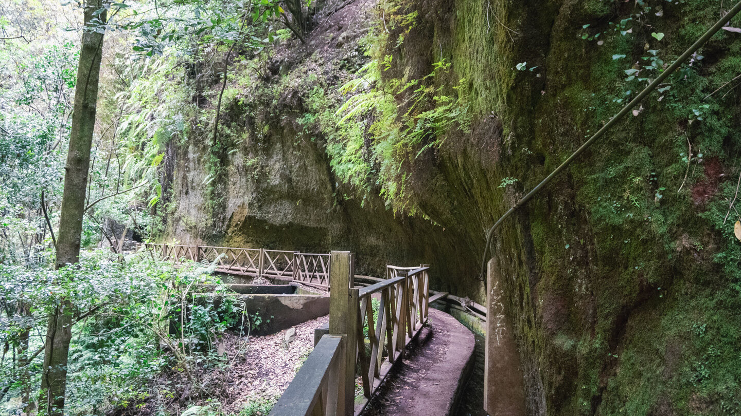 durchs Barranco del Agua zum Wasserfall von Los Tilos