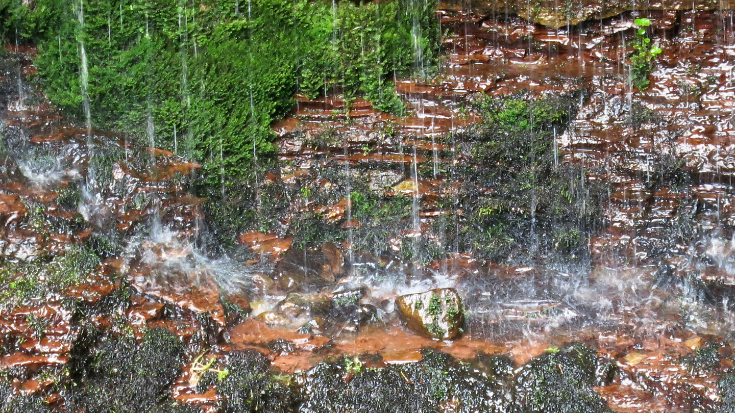 beeindruckendes Farbspiel zwischen Moosen und oxidiertem Gestein am Sankenbachwasserfall
