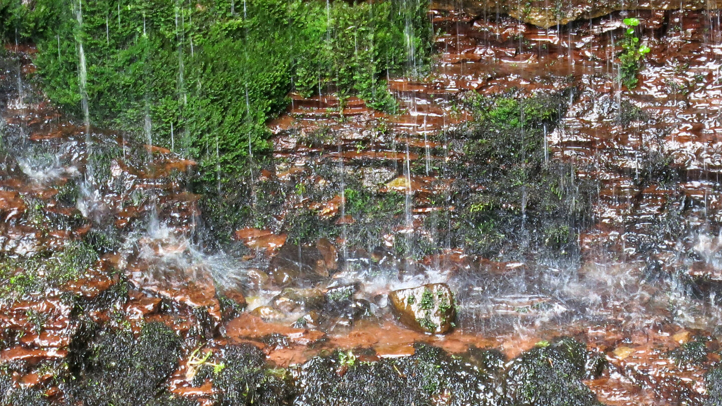 beeindruckendes Farbspiel zwischen Moosen und oxidiertem Gestein am Sankenbachwasserfall beeindruckendes Farbspiel zwischen Moosen und oxidiertem Gestein am Sankenbachwasserfall