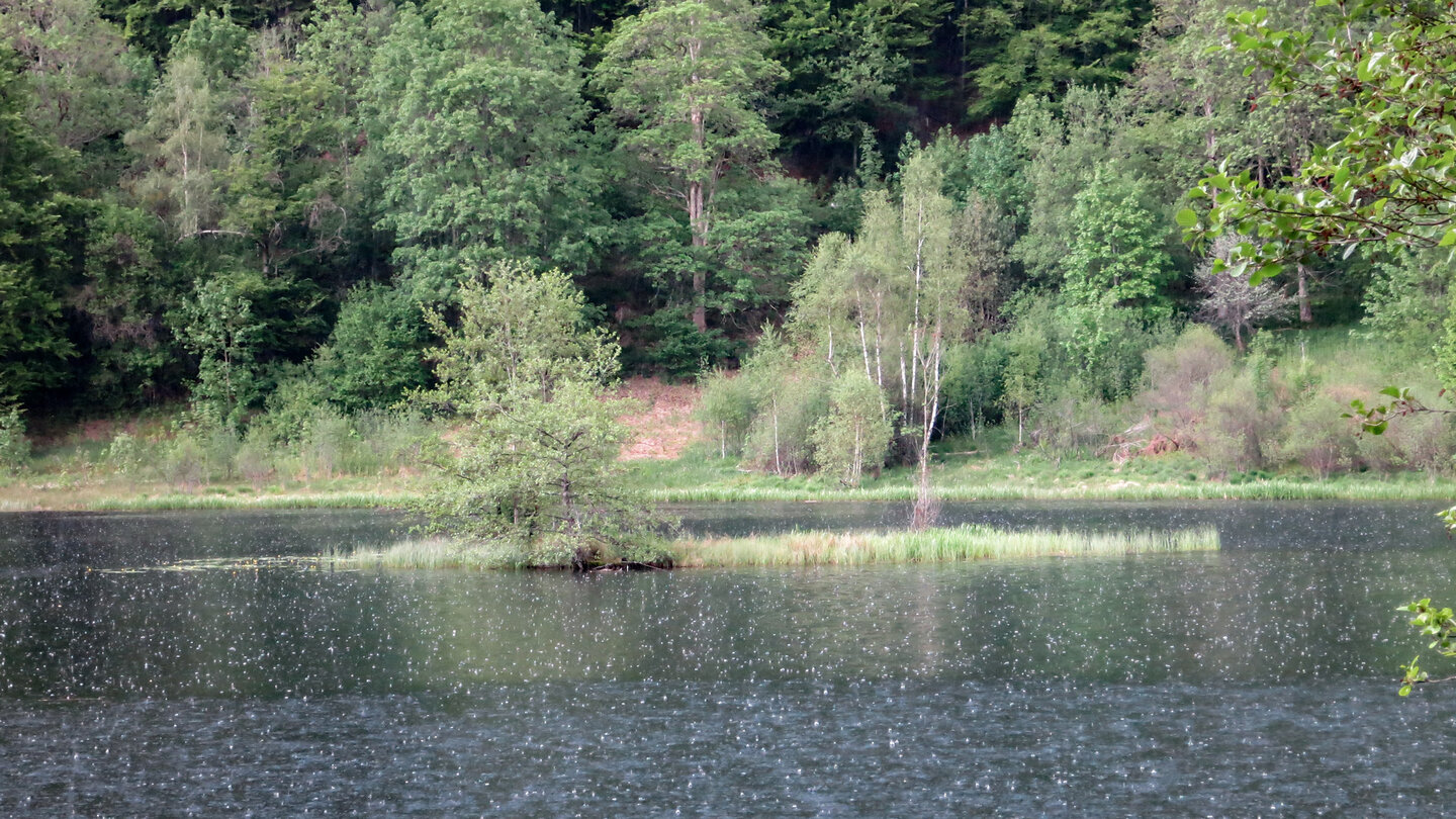 Insel auf dem Sankenbachsee Insel auf dem Sankenbachsee
