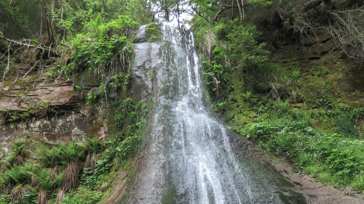 kristallklares Wasser bahnt sich seinen Weg am Sankenbachwasserfall kristallklares Wasser bahnt sich seinen Weg am Sankenbachwasserfall