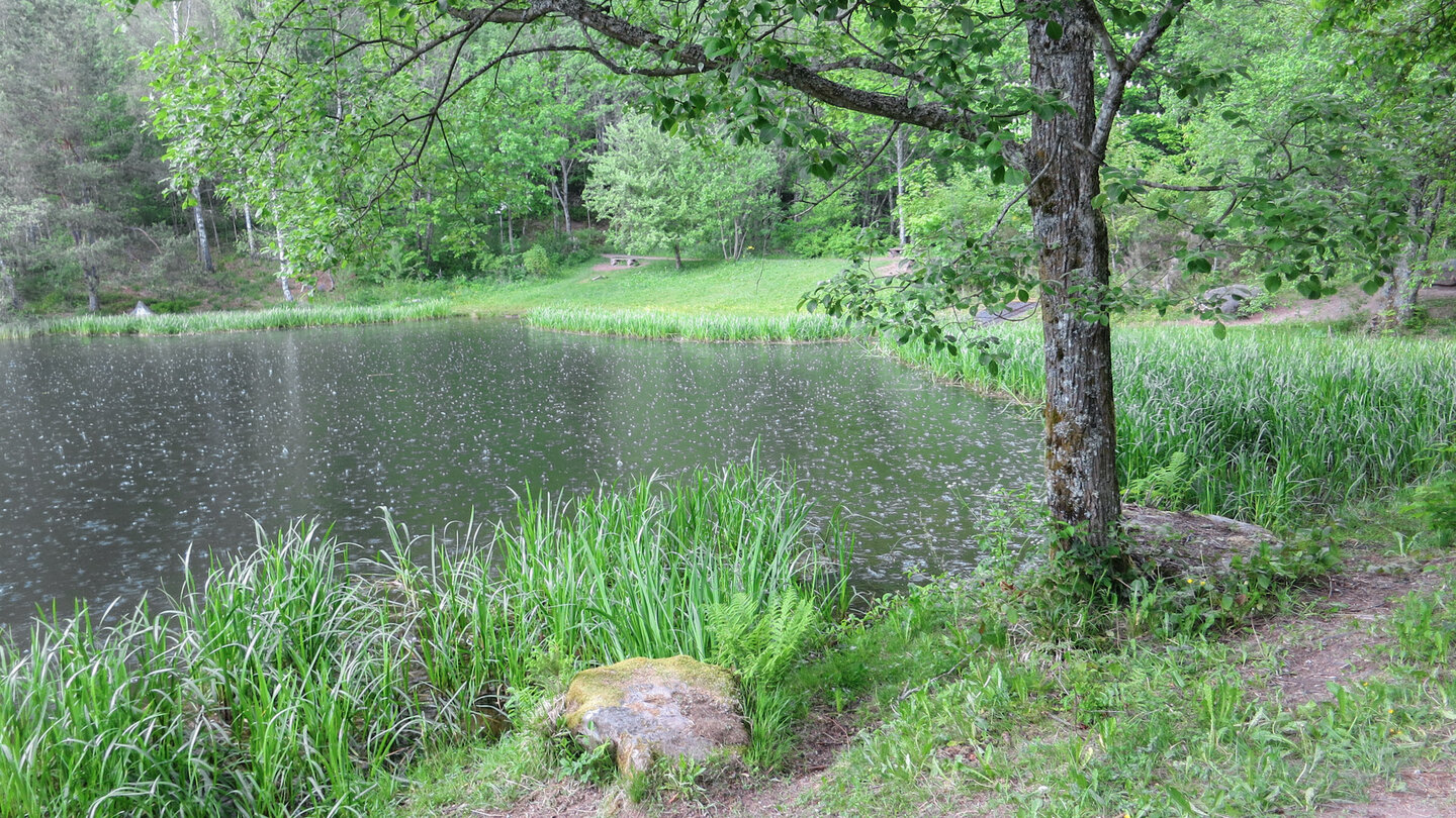 Blick über den Sankenbachsee