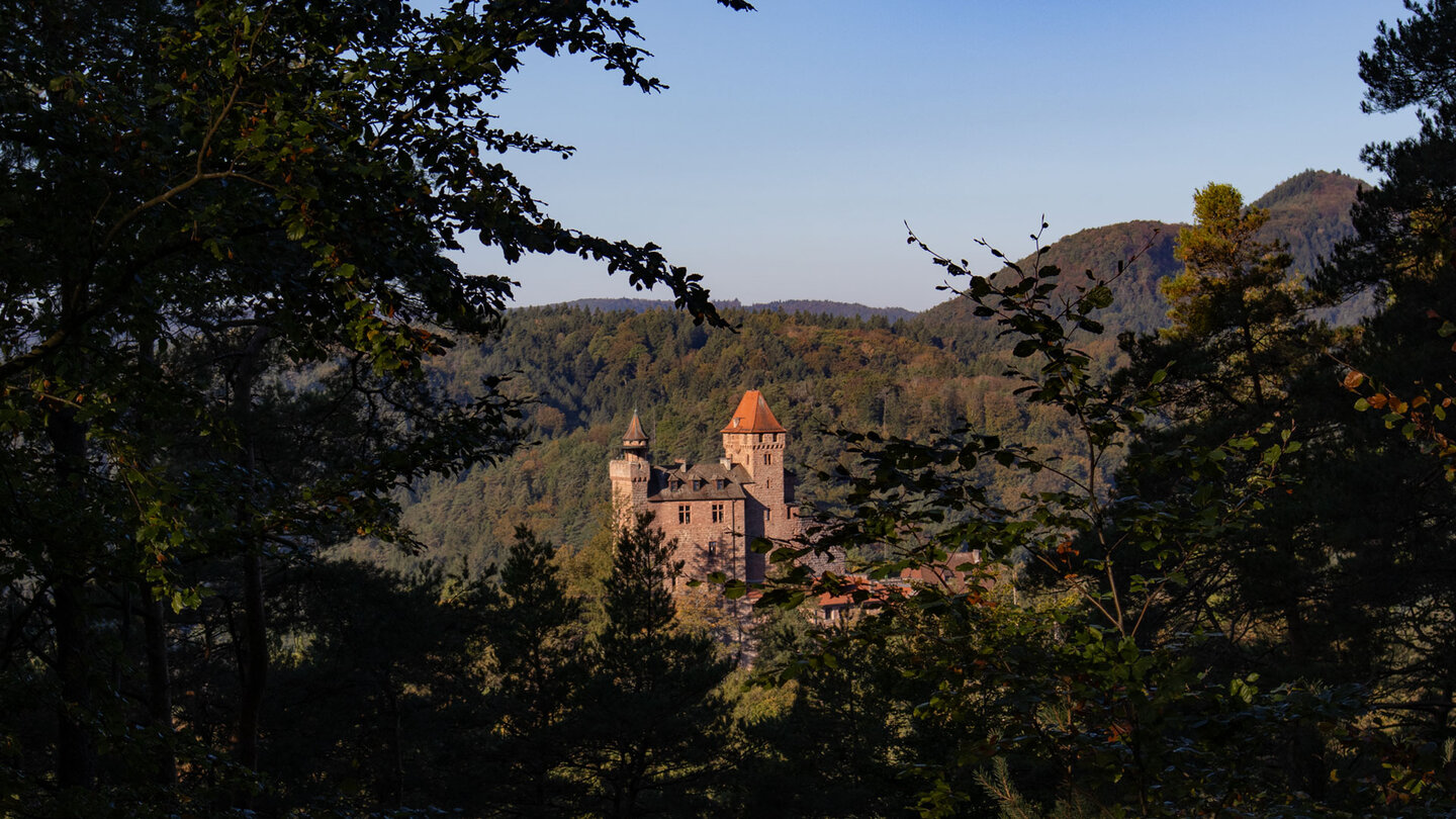 Blick durch Bäume auf Burg Berwartstein im warmen Abendlicht, Hans-Trapp-Tour Erlenbach.