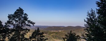 Weites Panorama über den Wasgau vom Schniddelfelsen, Kiefernsilhouetten im Vordergrund, Dahner Felsenland.