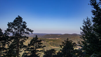Weites Panorama über den Wasgau vom Schniddelfelsen, Kiefernsilhouetten im Vordergrund, Dahner Felsenland.