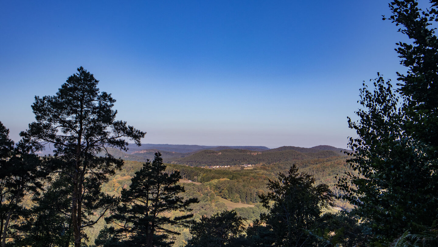 Weites Panorama über den Wasgau vom Schniddelfelsen, Kiefernsilhouetten im Vordergrund, Dahner Felsenland.