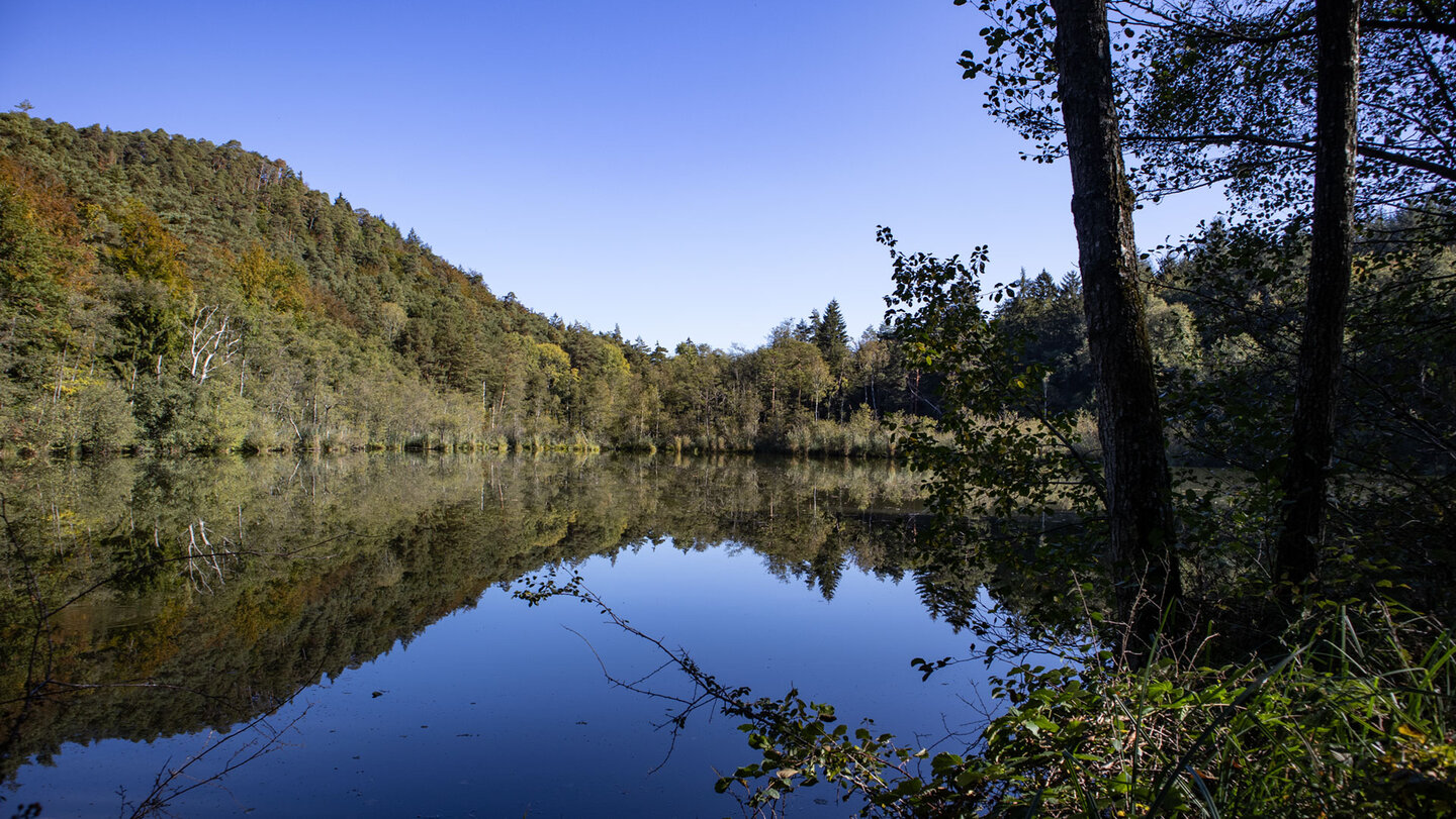 Waldweiher im Portzbachtal bei Erlenbach, perfekte Wasserspiegelung im Herbstlicht, Wasgau.