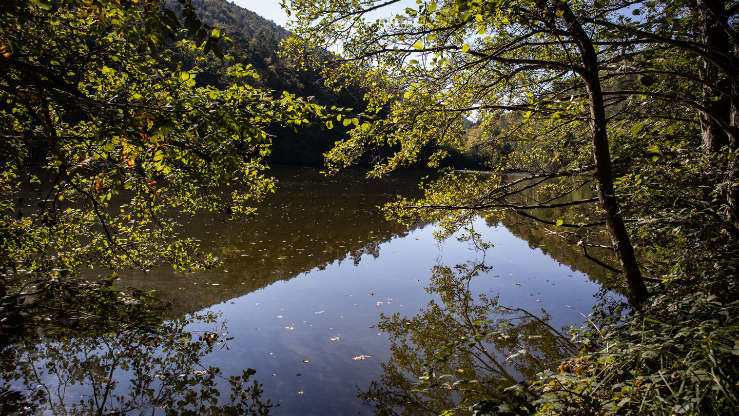 Blick durch Herbstbäume auf den Seehofweiher bei Erlenbach, Naturbadesee im Dahner Felsenland.