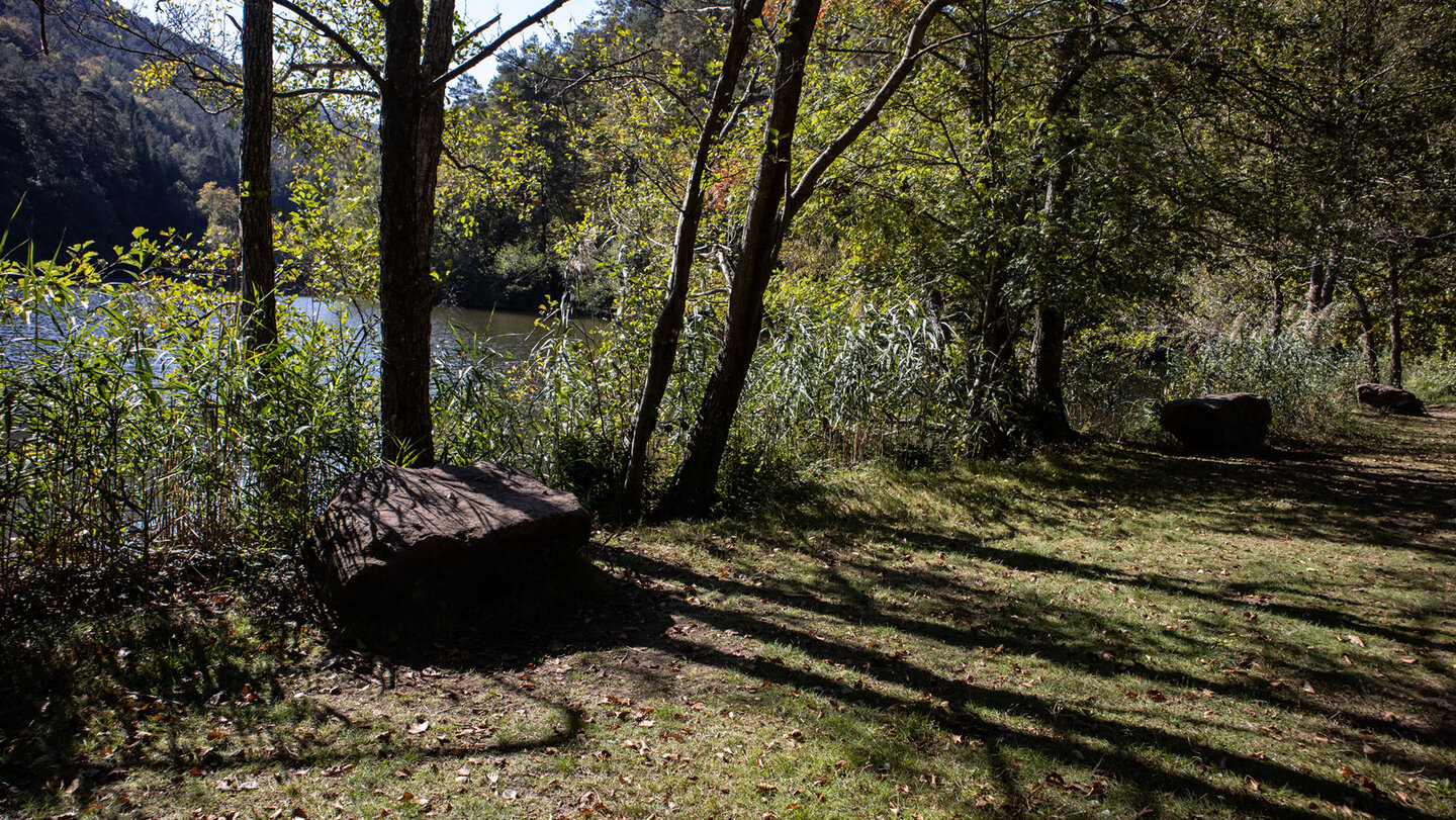 Schattige Liegewiese mit Sandsteinblöcken am Seehofweiher bei Erlenbach, Naturbadesee Pfälzerwald.