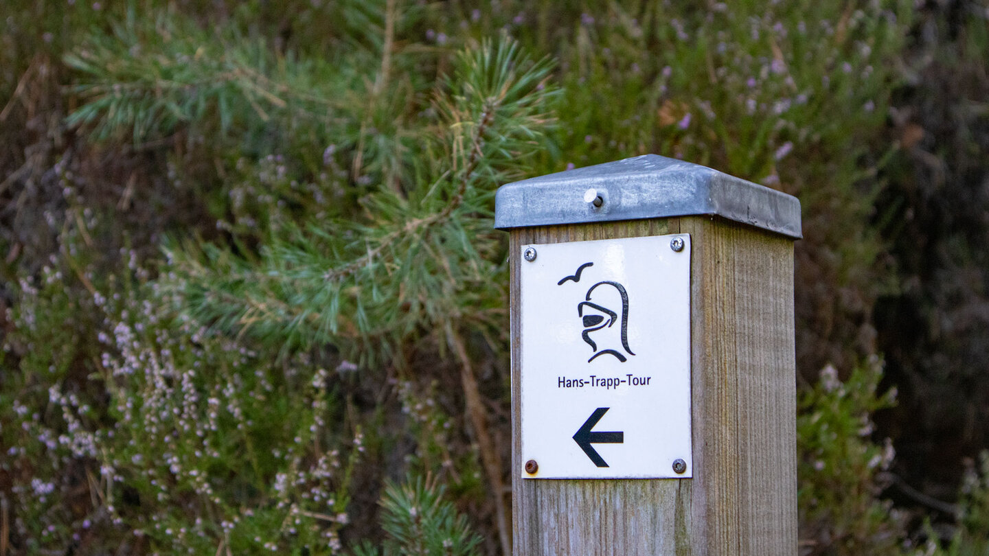Offizieller Wegweiser der Hans-Trapp-Tour mit Logo und Richtungspfeil vor blühender Heide, Dahner Felsenland.