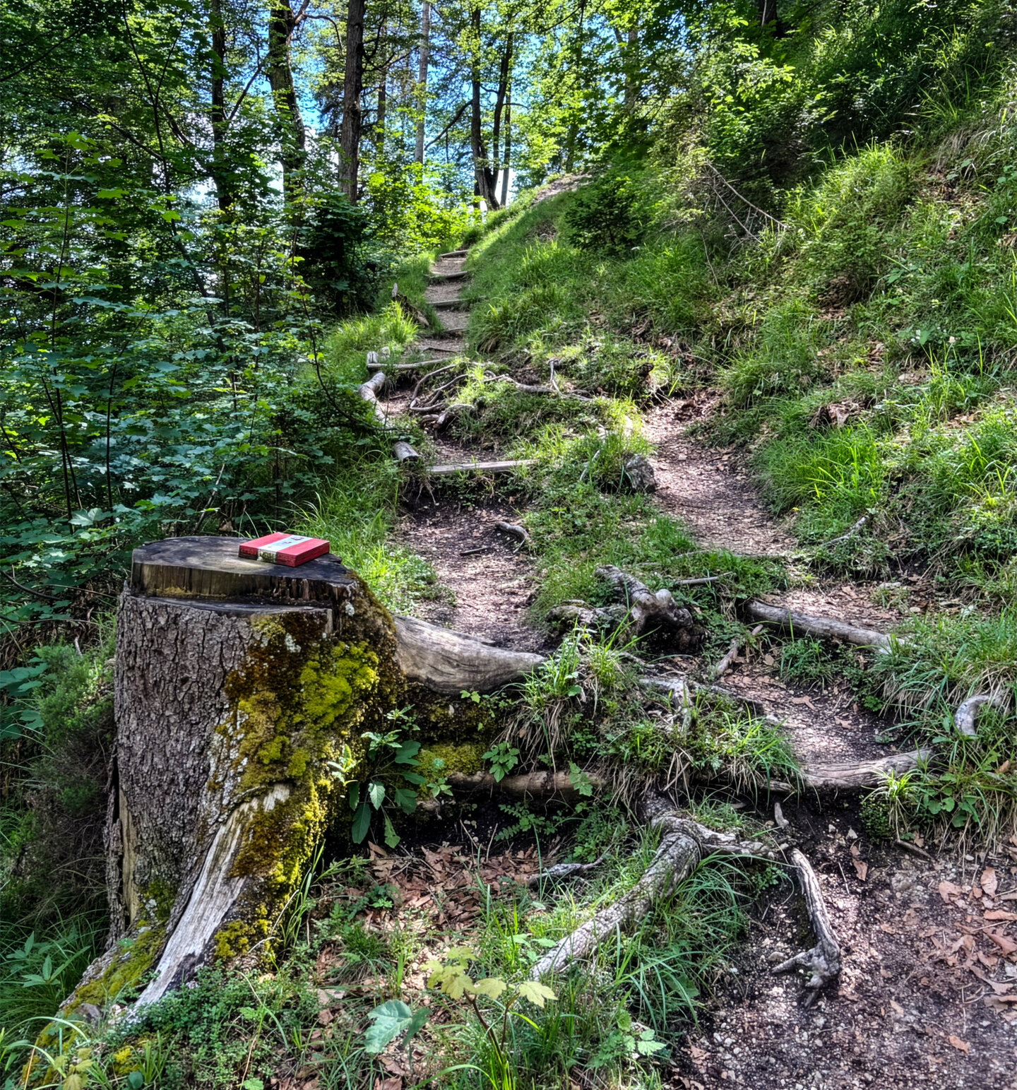 Rot-weiße Wegmarkierung am Hüttenweg 412 zur Peter-Wiechenthaler-Hütte