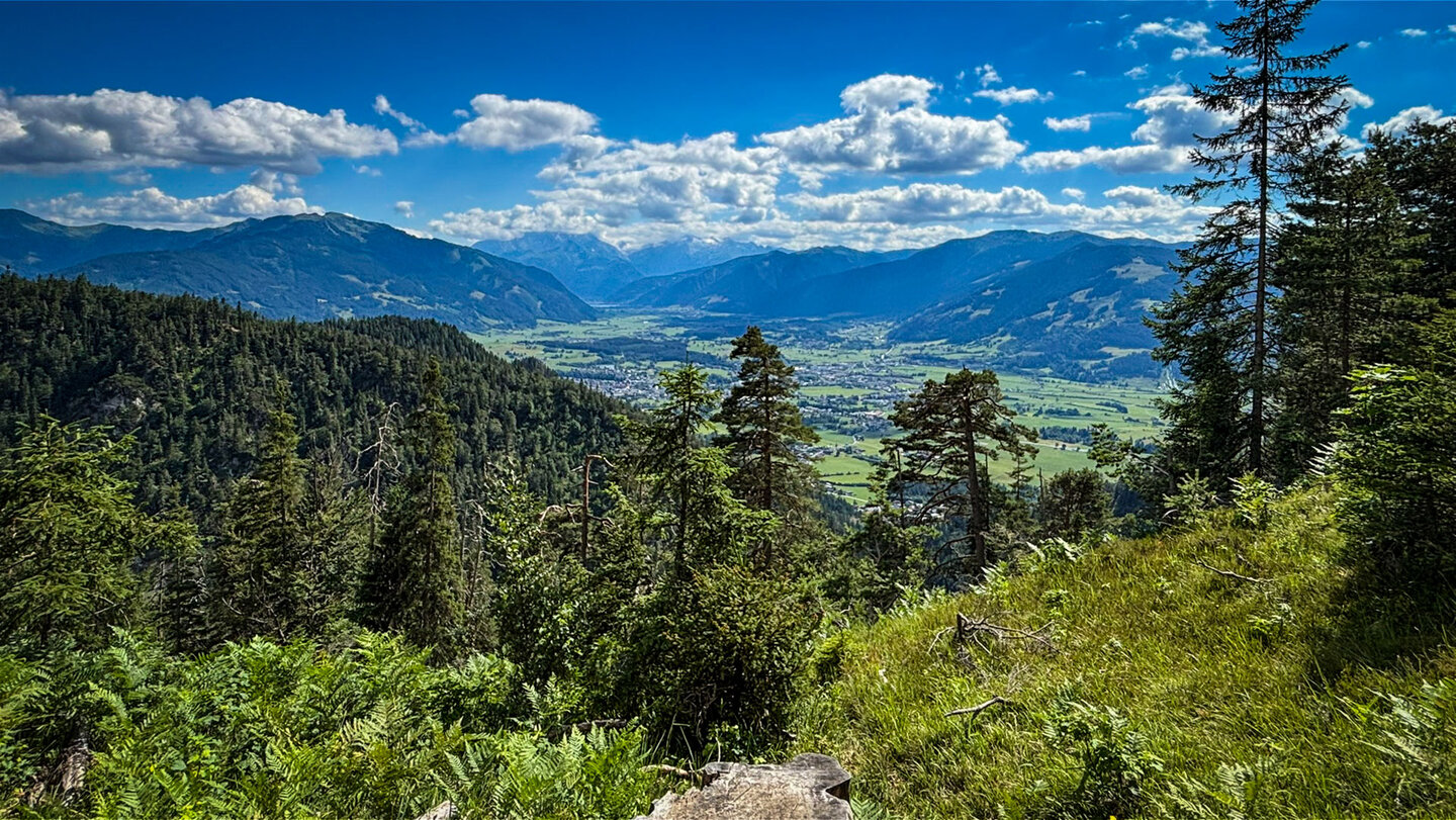 Panorama auf Saalfelden und die Berchtesgadener Alpen vom Aufstiegsweg aus