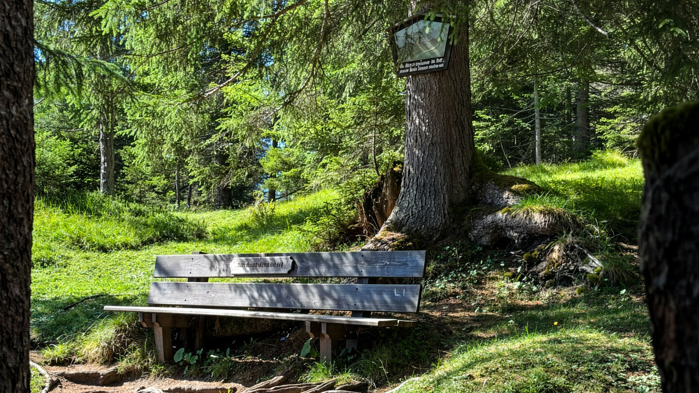 Holzbank am Kreuzweg, der Weggabelung am Aufstieg zur Peter-Wiechenthaler-Hütte