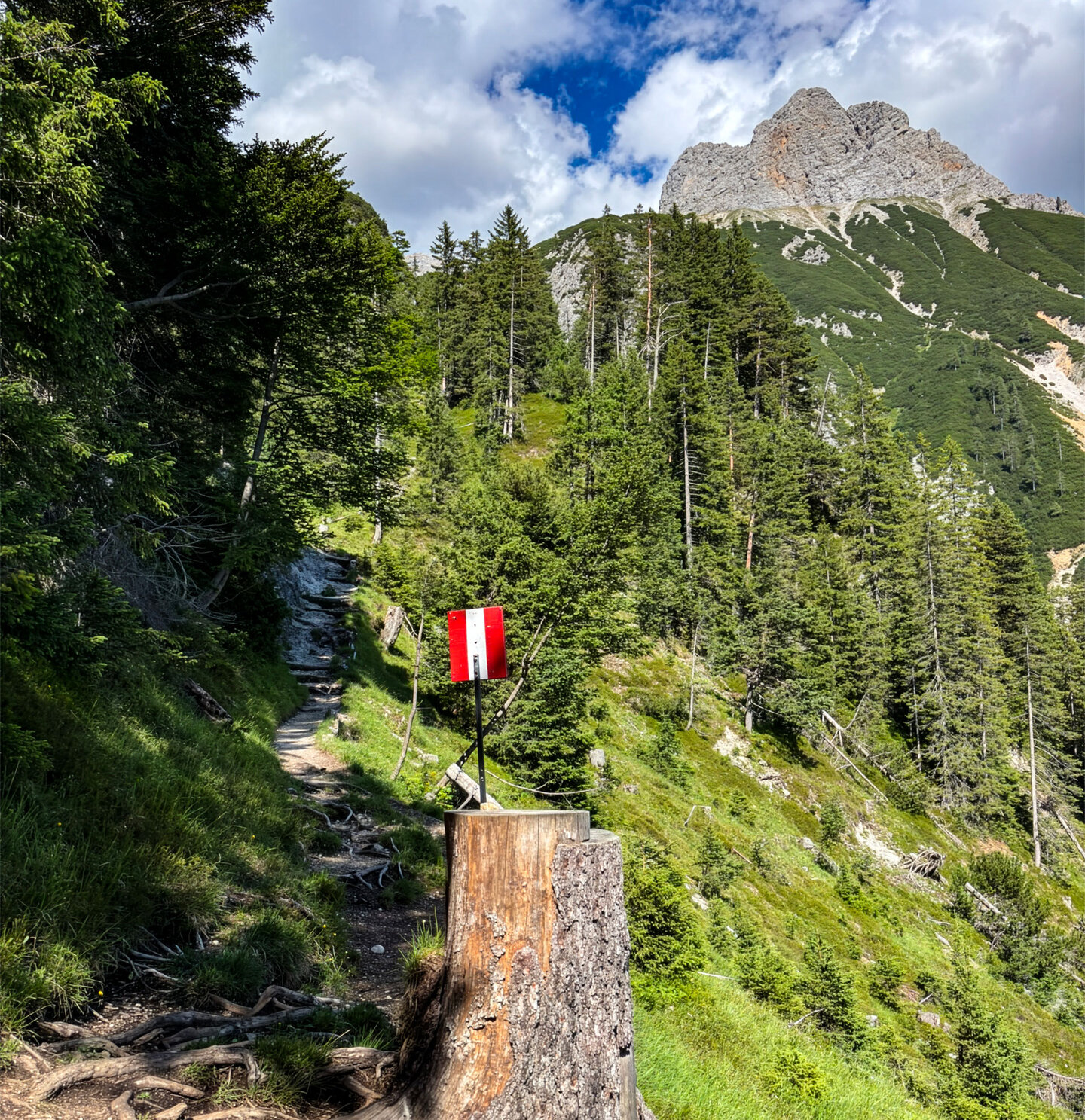 Wegmarkierung am Hüttenweg 412 zur Peter-Wiechenthaler-Hütte mit Blick auf die Kalkfelsen