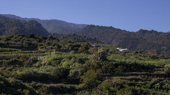 Blick über die grünen Hänge der Insel bis zum Observatorium
