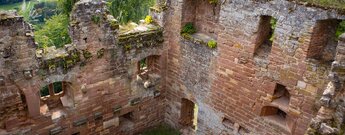 die Ruine des Château du Nouveau-Windstein