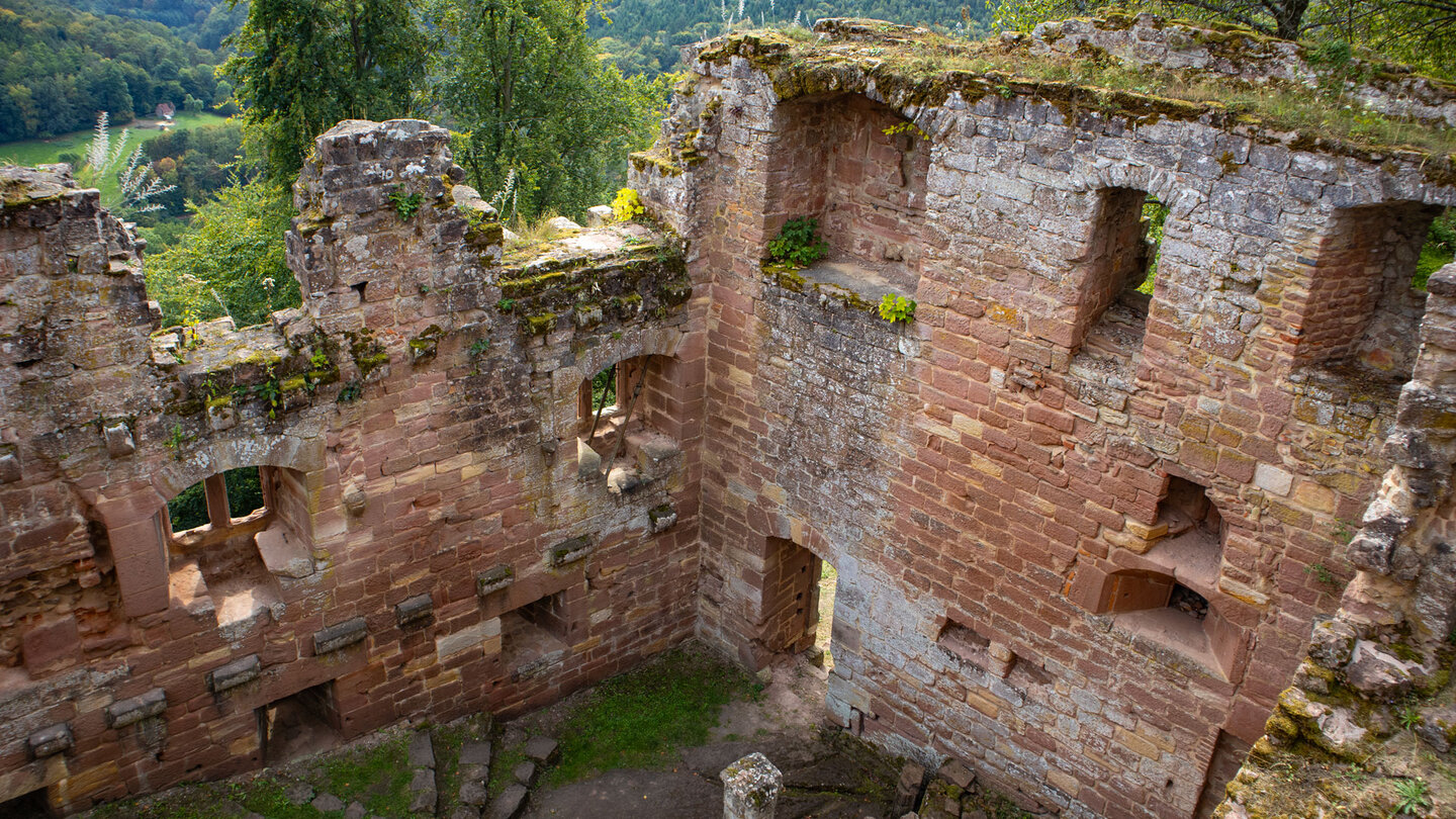 die Ruine des Château du Nouveau-Windstein