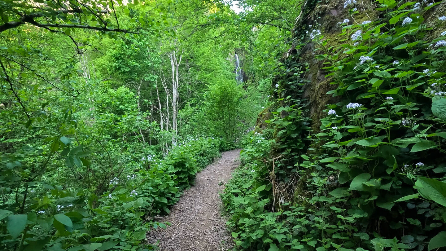 Wanderweg zum Cascade du Nideck in den Vogesen