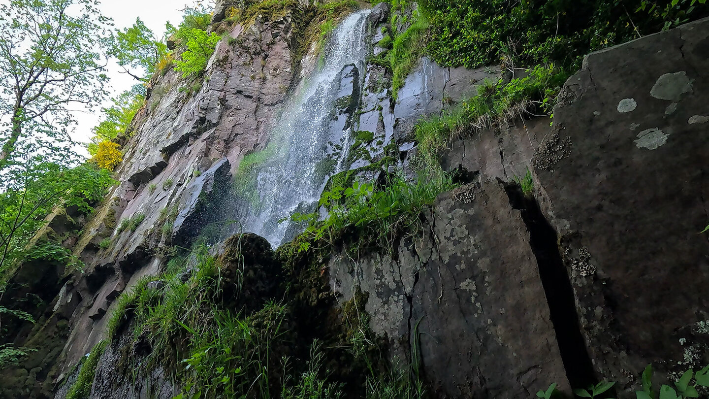 Steilwand am Nideck-Wasserfall