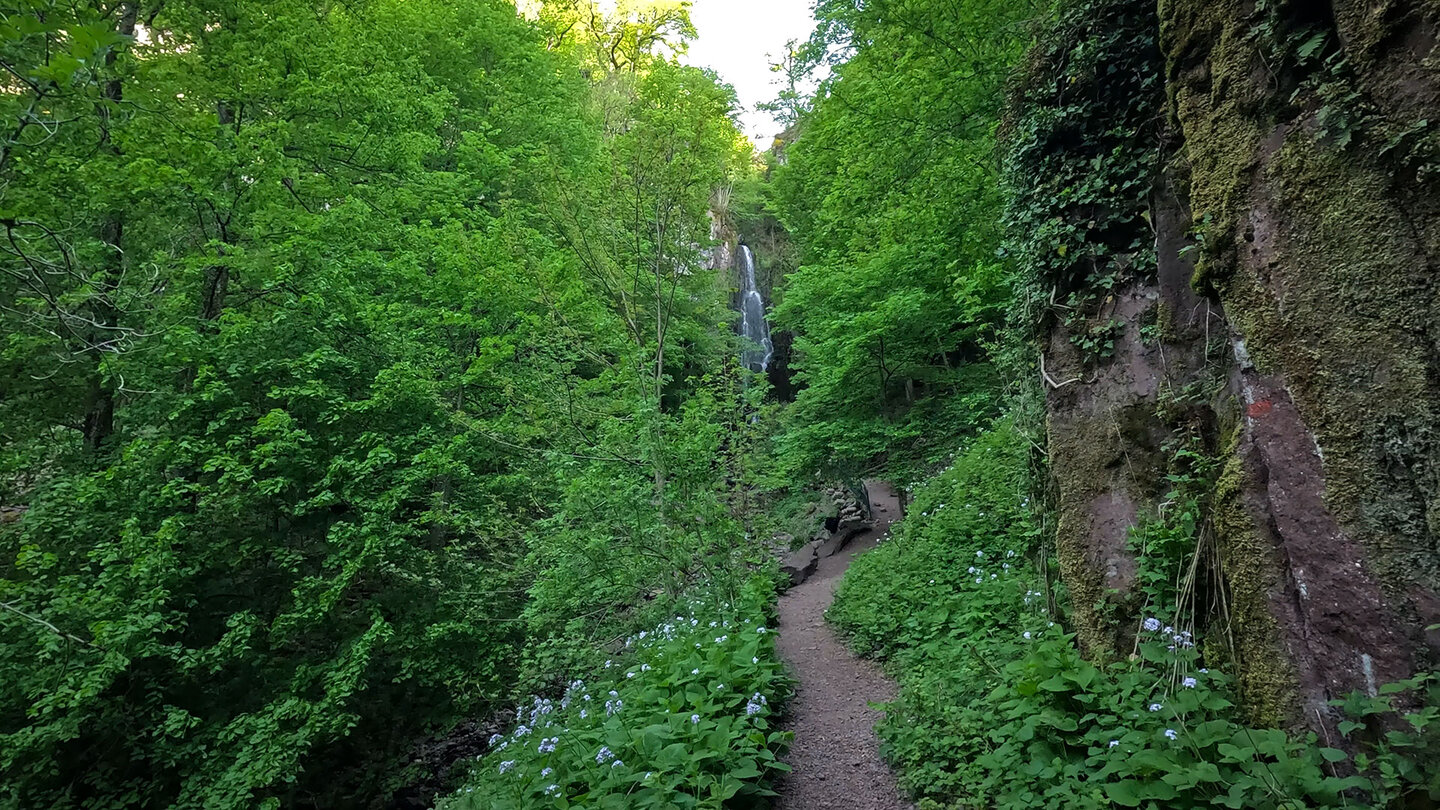 Wanderroute zum Nideck-Wasserfall