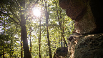 Lichtdurchfluteter Wald entlang der Felskette der Buhlsteine.