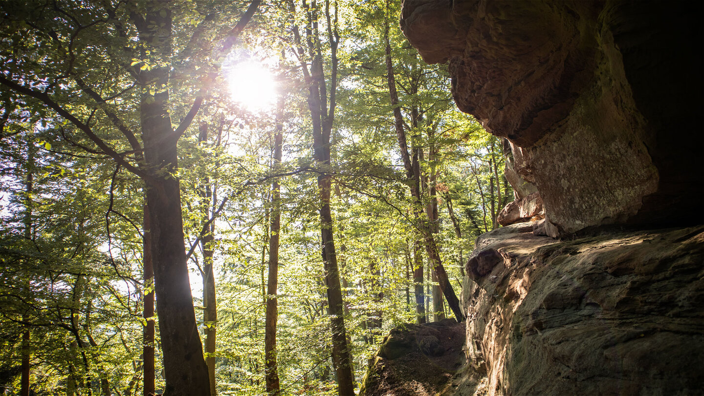 Lichtdurchfluteter Wald entlang der Felskette der Buhlsteine.