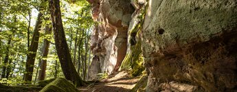 Wanderpfad am Buntsandsteinriff der Buhlsteine.