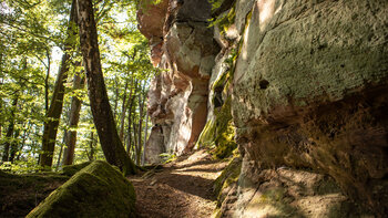 Wanderpfad am Buntsandsteinriff der Buhlsteine.