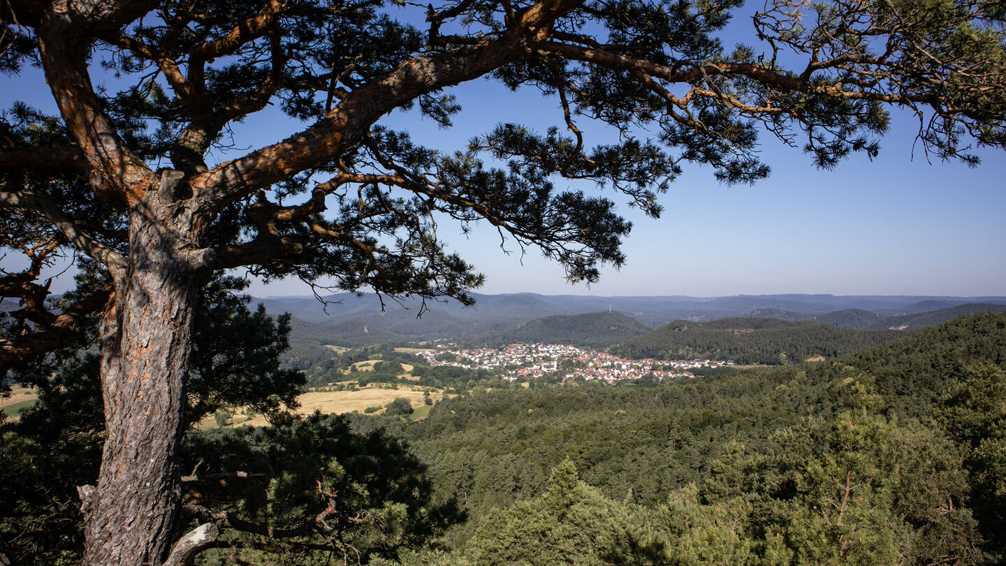 Ausblick vom Buhlsteinpfeiler auf Busenberg im Wasgau.
