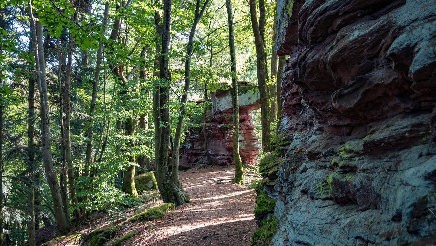 der Wanderweg Bärensteig verläuft entlang der Buntsandsteinformationen auf dem Jüngstberg der Bärensteig everläuft ntlang der Buntsandsteinformationen auf dem Jüngstberg