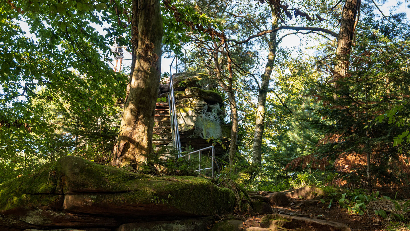 die Aussichtsplattform Jüngstbergkanzel auf dem Jüngstberg im südlichen Pfälzerwald die Aussichtsplattform Jüngstbergkanzel