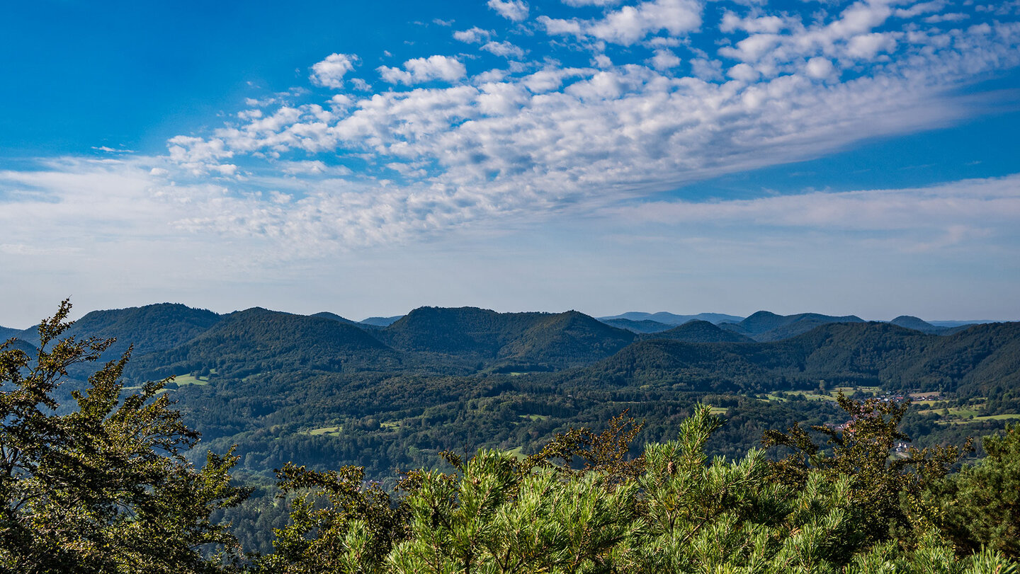 großartiges Panorama vom Jüngstberg über den Pfälzerwald Panorama vom Jüngstberg über den Pfälzerwald