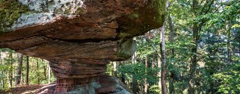 Felsformation auf dem Jüngstberg im Dahner Felsenland