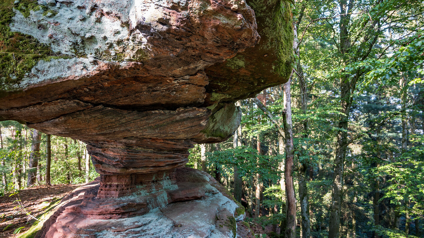 Felsformation auf dem Jüngstberg im Dahner Felsenland Felsformation auf dem Jüngstberg im Dahner Felsenland