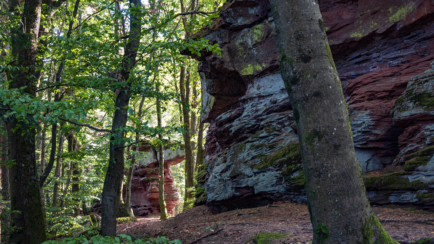 der Jüngstberg ist geprägt von typischem Buntsandstein mit rot-gelb-grünlichen Schichtungen Buntsandstein mit rot-gelb-grünlichen Schichtungen auf dem Jüngstberg