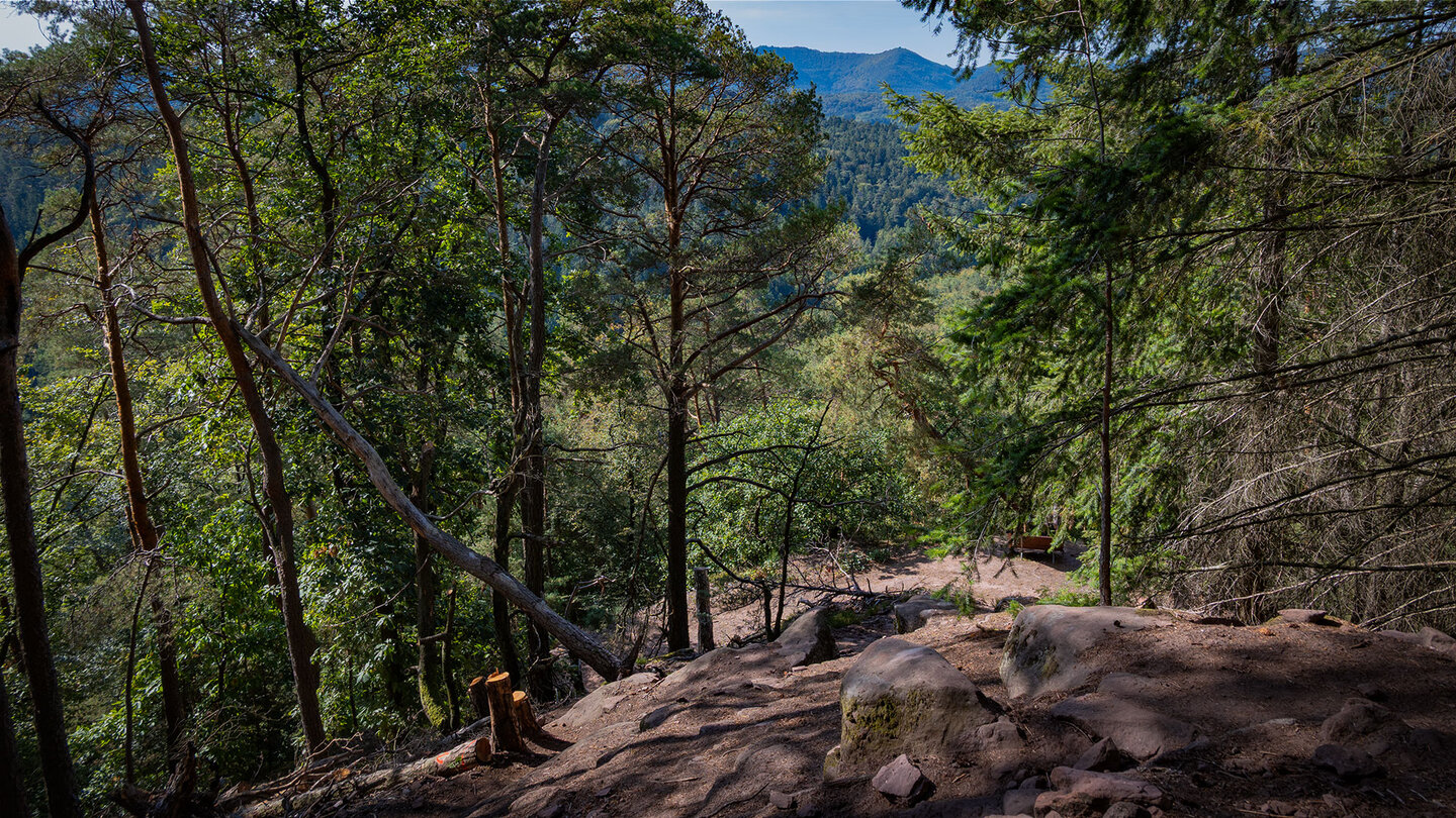 Wanderweg am Jüngstberg bei Bruchweiler-Bärenbach Wanderweg am Jüngstberg