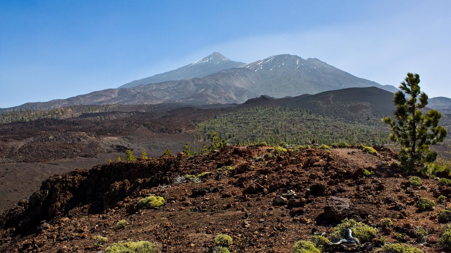 Ausblick vom Montaña Sámara über Montaña de la Botija auf Pico Viejo und Teide