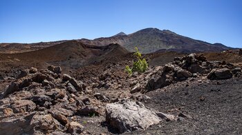 der Krater des Montaña Reventada mit Pico Viejo und dem Pico del Teide
