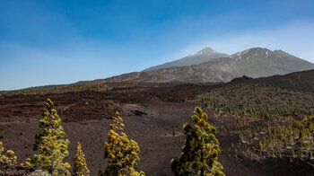 Blick vom Ausgangspunkt der Wandertour am Montaña Sámara aufs Teide-Massiv