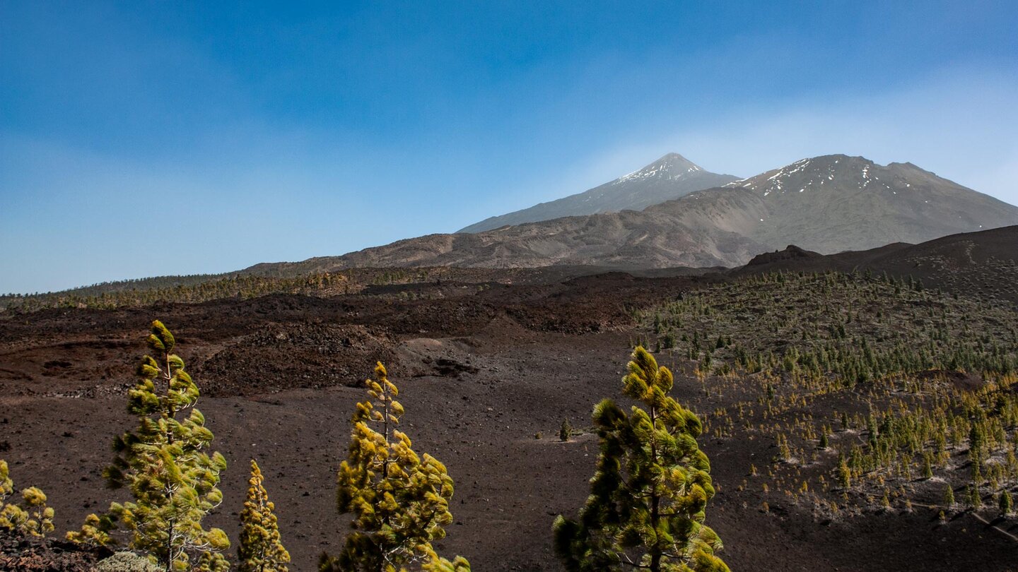 Blick vom Ausgangspunkt der Wandertour am Montaña Sámara aufs Teide-Massiv