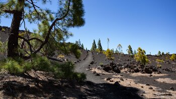 der Wegverlauf des Wanderwegs 32 führt sanft bergauf